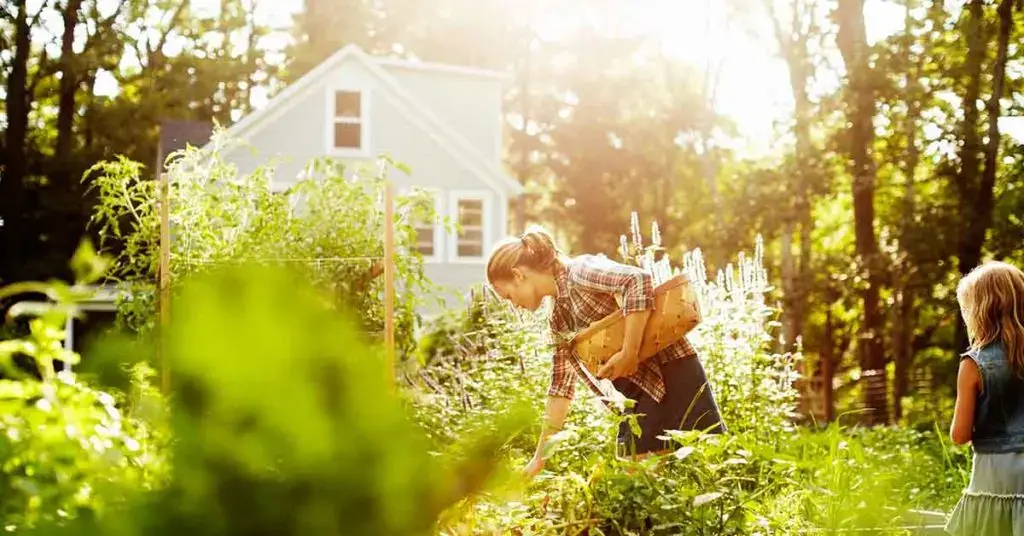 Plantas: ¿cuáles Son Las Tendencias Para 2022? – Mis Consejos Jardinería